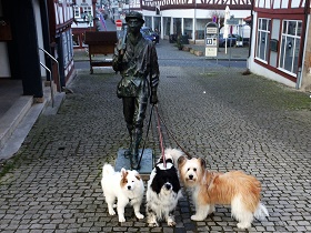 Elo vom Hollerbusch